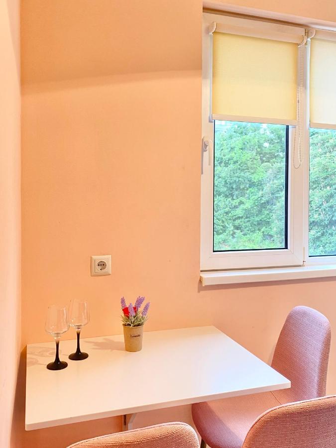 Sunny Central Apartment With Tv & Wi-Fi 스타라 자고라 외부 사진